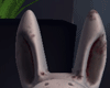 Horror Bunny