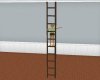 (SK) Animated Ladder