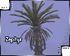 [Z.E] Tree Palm