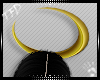[TFD]Celestial Halo