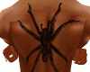 [MM]anyskin spider back