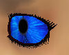 *WW* blue vortex eyes