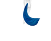 blue wolf tail