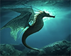 Seahorse Pic