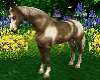 "GUARIL" Romany Pony