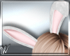 *W* Bunny Ears