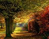 The Maleek's Autumn Road