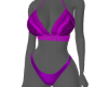 ẞ.Purple bikini set