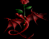 *The Red Dragon Rose*
