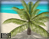 C79|Palm/Small/Tropic