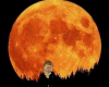 Orange Moon Background