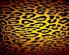 cheetah bed