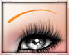 Light Orange Eyebrows ~