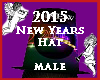 2015 New Years Hat MALE