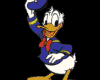 Donald Duck(animator St)