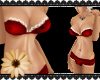 DNS- Lingerie_Red