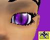 Purple Cat Eyes