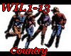 *X  WIL1-13-CUNTRY