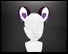 Drk Purple Bear Ears