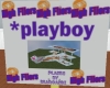 [DS]trig sign playboy