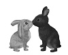 Cute Love Rabbits