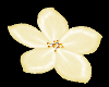Lemon Falling Flowers