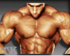 ! (LOH) Muscles Bíceps