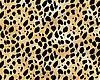 leopard mini