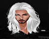 ~L~Witcher SIlver