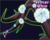 ⚜ Cathy Antlers 1