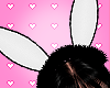 ❣ Bunny Ears