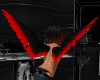Black & Red Angel Wings