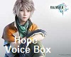Hope Final Fantasy VB