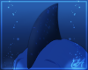 Bohnes | Head Fin