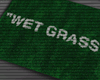 WET GRASS