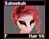 Sahnekuh Hair F V4