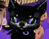 HALLOWEEN MAGIC PET