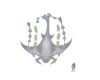 Manta Ray Fantasy