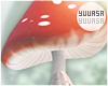 ᠅Mushroomie