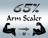 Arm Scaler 65%