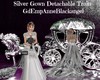 Wedding Gown Train