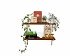 Kitchen Herb Shelves