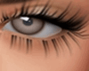 Brown Horizon Eyes