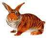 Rabbit tiger