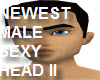 NeWeSt Sexy Male Head II