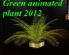 Green animated plant