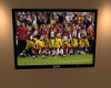 Redskins Flat TV