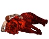 Red Tiger Lay&Cuddle