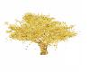 tree of goldd