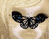 SF - Head Butterfly